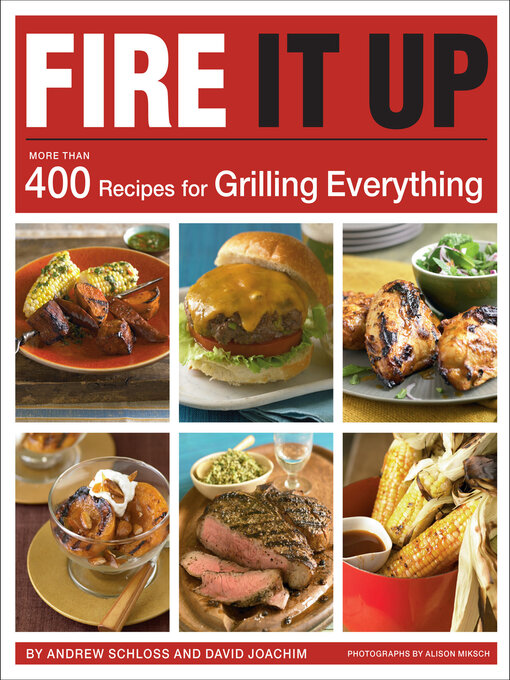 Title details for Fire It Up by Andrew Schloss - Available